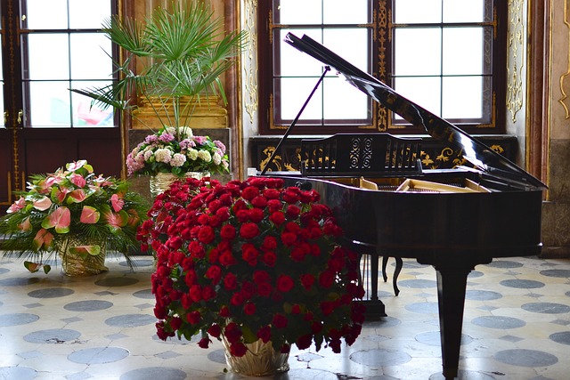I love piano.